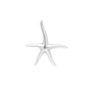 Colgante Starfish Bold plata